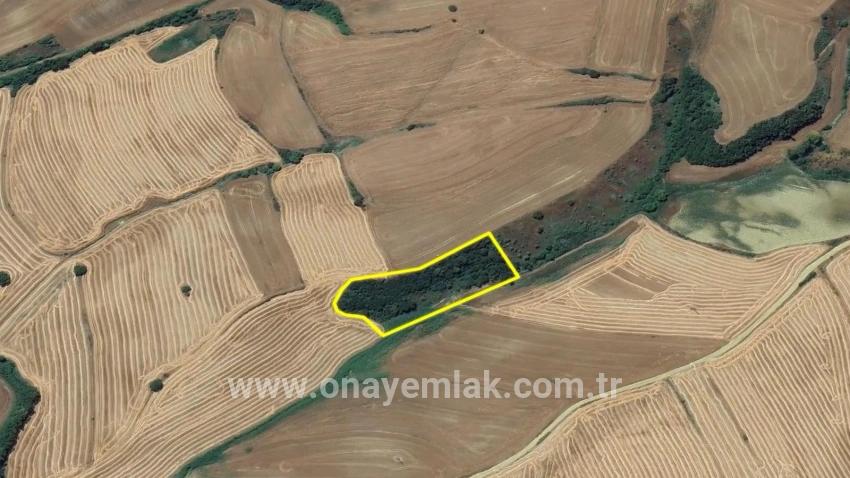 Для продажи Поле в Oruçbeyli Süleymanpaşa - Под Поле застройку - 8.100 m²