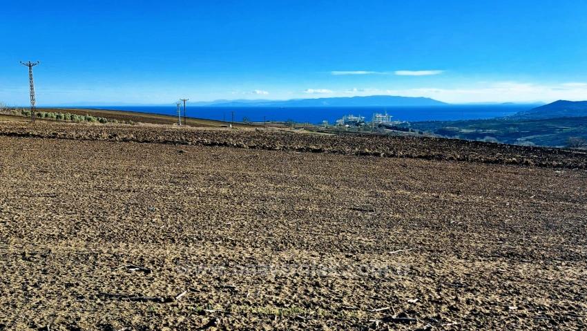 Оптимальный Участок Земли В Районе Фабрик С Высокой Краткосрочной Прибылью