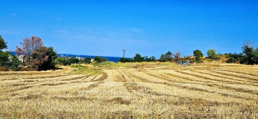 Угловой Участок Площадью 615 М2 По Выгодной Цене, Недалеко От Асиапорта
