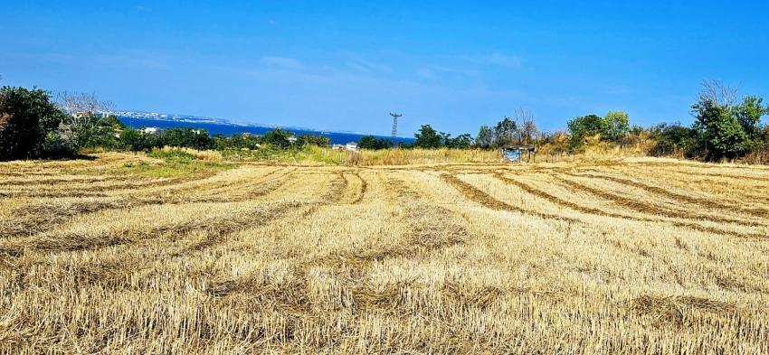 Угловой Участок Площадью 615 М2 По Выгодной Цене, Недалеко От Асиапорта