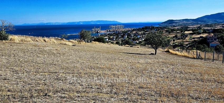 Гарантия Высокой Прибыли Для Тех, Кто Хочет Купить Или Продать. Срочная Продажа Из-За Необходимости В Наличных Деньгах.