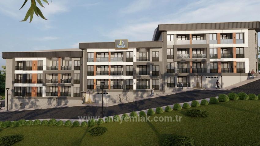 **Dallasserenity** Выберите Собственные Варианты Оплаты Для Нашего Проекта Запуска**