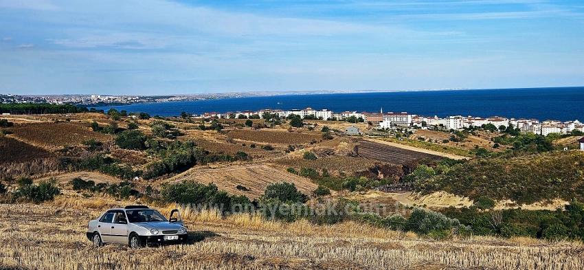 Выгодная Покупка Земельного Участка Площадью 1150 М2 С Панорамным Видом На Море В Районе Текирдаг Топагач