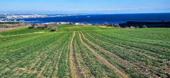 Участок С Панорамным Видом На Море И Природу, Подходящий Для Строительства 75 Вилл В Текирдаге Барбароста