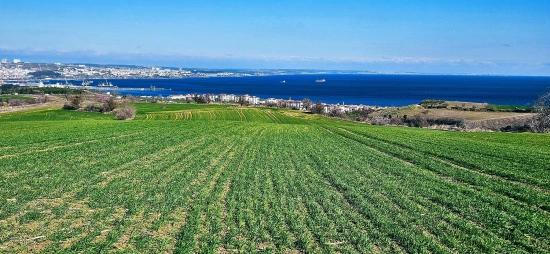 Участок С Панорамным Видом На Море И Природу, Подходящий Для Строительства 75 Вилл В Текирдаге Барбароста
