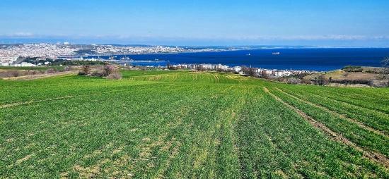 Участок С Панорамным Видом На Море И Природу, Подходящий Для Строительства 75 Вилл В Текирдаге Барбароста