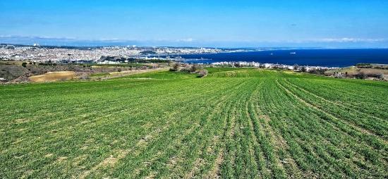 Участок С Панорамным Видом На Море И Природу, Подходящий Для Строительства 75 Вилл В Текирдаге Барбароста