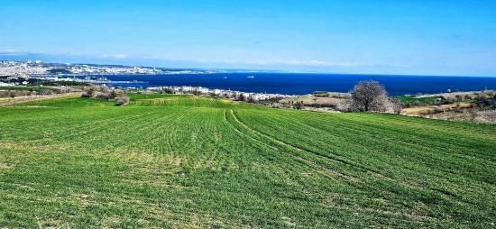 Участок С Панорамным Видом На Море И Природу, Подходящий Для Строительства 75 Вилл В Текирдаге Барбароста