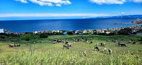 15 Роскошных Вилл С Уникальным Видом На Море И Природу, Расположенных В Подходящем Для Проекта Районе.