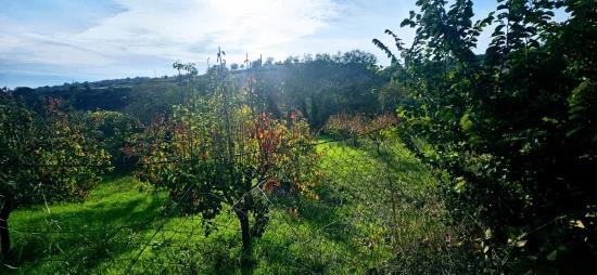 В Правоустанавливающем Документе На Отдельный Участок Нет Доли. Не Устраивайте Пикники И Барбекю По Выходным.