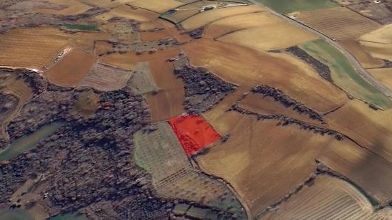 Инвестиционная Возможность: Гарантированно Высокая Прибыль В Краткосрочной Перспективе Для Тех, Кто Хочет Купить И Продать