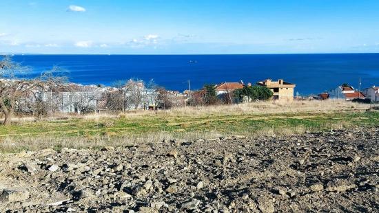 Вы Можете Создать Проект На 9 Роскошных Апартаментов Или На 2 Ультра-Роскошные Виллы.