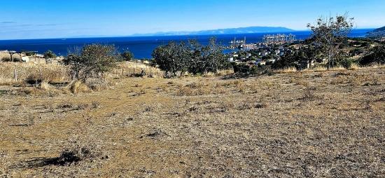 Гарантия Высокой Прибыли Для Тех, Кто Хочет Купить Или Продать. Срочная Продажа Из-За Необходимости В Наличных Деньгах.