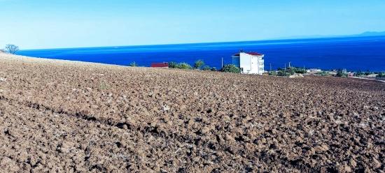 **земельный Участок С Полным Видом На Море И Разрешением На Строительство (30%) Трехэтажного Здания В Районе Топагач, Текирдаг.**