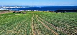 Участок С Панорамным Видом На Море И Природу, Подходящий Для Строительства 75 Вилл В Текирдаге Барбароста