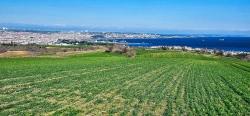 Участок С Панорамным Видом На Море И Природу, Подходящий Для Строительства 75 Вилл В Текирдаге Барбароста