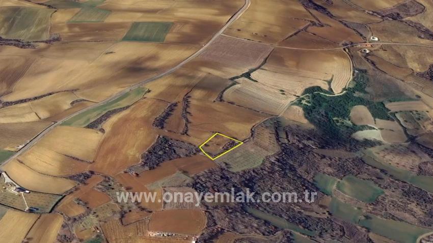 Для Продажи Земля в Çanakçı Süleymanpaşa - Под Поле застройку - 3.110 m²