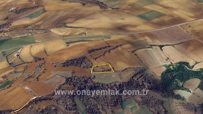 Для Продажи Земля в Çanakçı Süleymanpaşa - Под Поле застройку - 3.110 m²