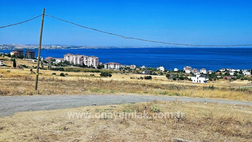 Для Продажи Сюжет в Barbaros Süleymanpaşa Kumbağ - Под Жилье застройку - 580 m²