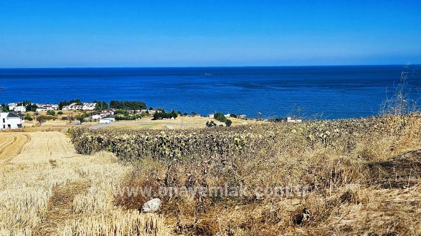 Для Продажи Сюжет в Barbaros Süleymanpaşa Kumbağ - Под Жилье застройку - 580 m²