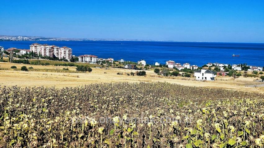 Для Продажи Сюжет в Barbaros Süleymanpaşa Kumbağ - Под Жилье застройку - 580 m²