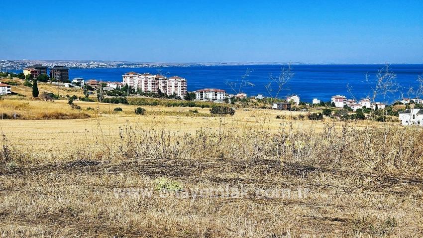 Для Продажи Сюжет в Barbaros Süleymanpaşa Kumbağ - Под Жилье застройку - 580 m²