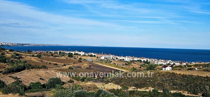 Для Продажи Сюжет в Topağaç Süleymanpaşa Altınova - Под Вилла застройку - 1.150 m²