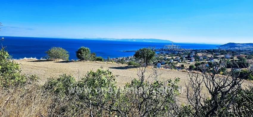 Süleymanpaşa Kumbağ Barbaros Mah. Satılık Arsa - Konut İmar Durumlu - 2.780 m²