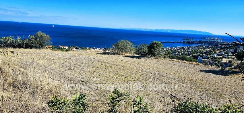 Süleymanpaşa Kumbağ Barbaros Mah. Satılık Arsa - Konut İmar Durumlu - 2.780 m²