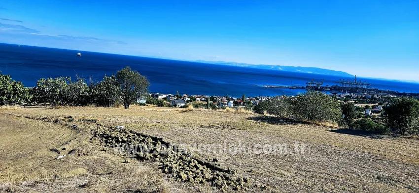 Süleymanpaşa Kumbağ Barbaros Mah. Satılık Arsa - Konut İmar Durumlu - 2.780 m²