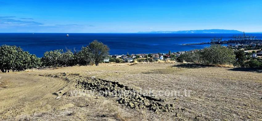 Süleymanpaşa Kumbağ Barbaros Mah. Satılık Arsa - Konut İmar Durumlu - 2.780 m²