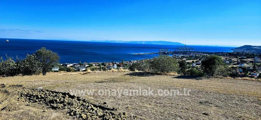 Süleymanpaşa Kumbağ Barbaros Mah. Satılık Arsa - Konut İmar Durumlu - 2.780 m²