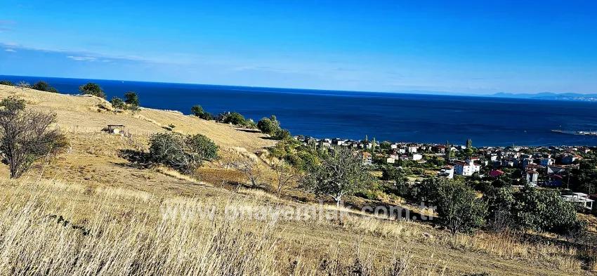 Süleymanpaşa Kumbağ Barbaros Mah. Satılık Arsa - Konut İmar Durumlu - 530 m²