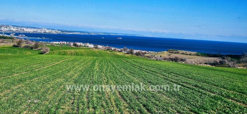 Süleymanpaşa Kumbağ Barbaros Mah. Satılık Arazi - Konut İmar Durumlu - 19.533 m²
