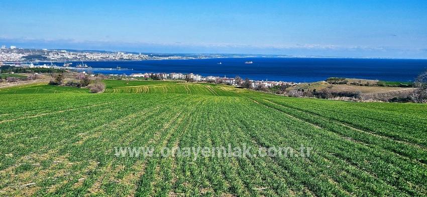 Süleymanpaşa Kumbağ Barbaros Mah. Satılık Arazi - Konut İmar Durumlu - 19.533 m²