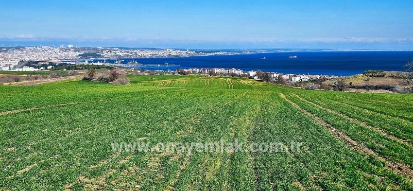 Süleymanpaşa Kumbağ Barbaros Mah. Satılık Arazi - Konut İmar Durumlu - 19.533 m²