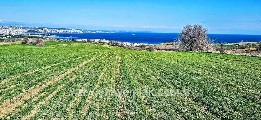 Süleymanpaşa Kumbağ Barbaros Mah. Satılık Arazi - Konut İmar Durumlu - 19.533 m²
