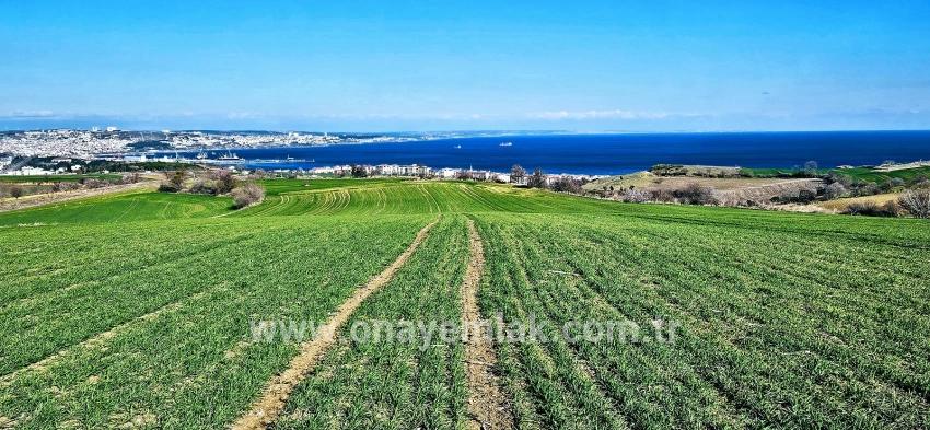 Süleymanpaşa Kumbağ Barbaros Mah. Satılık Arazi - Konut İmar Durumlu - 19.533 m²