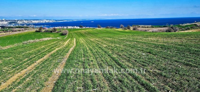 Süleymanpaşa Kumbağ Barbaros Mah. Satılık Arazi - Konut İmar Durumlu - 19.533 m²