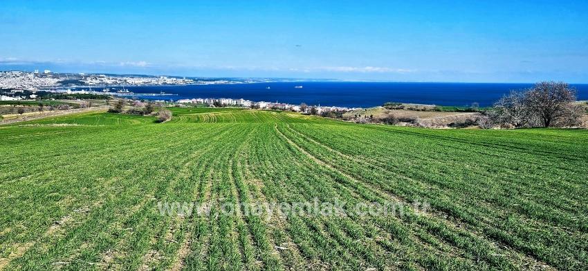 Süleymanpaşa Kumbağ Barbaros Mah. Satılık Arazi - Konut İmar Durumlu - 19.533 m²