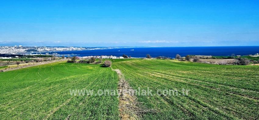 Süleymanpaşa Kumbağ Barbaros Mah. Satılık Arazi - Konut İmar Durumlu - 19.533 m²