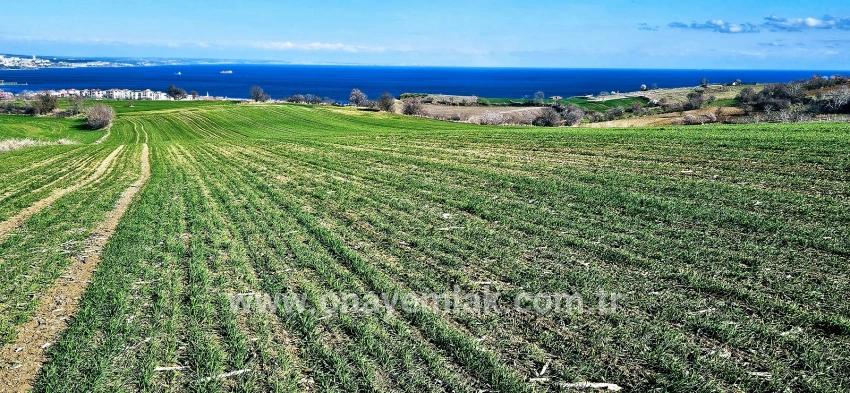 Süleymanpaşa Kumbağ Barbaros Mah. Satılık Arazi - Konut İmar Durumlu - 19.533 m²