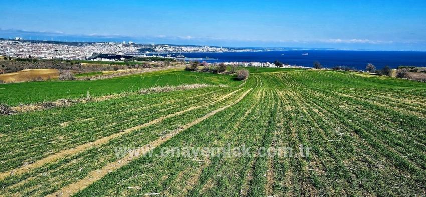 Süleymanpaşa Kumbağ Barbaros Mah. Satılık Arazi - Konut İmar Durumlu - 19.533 m²