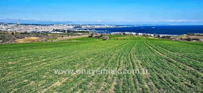 Süleymanpaşa Kumbağ Barbaros Mah. Satılık Arazi - Konut İmar Durumlu - 19.533 m²