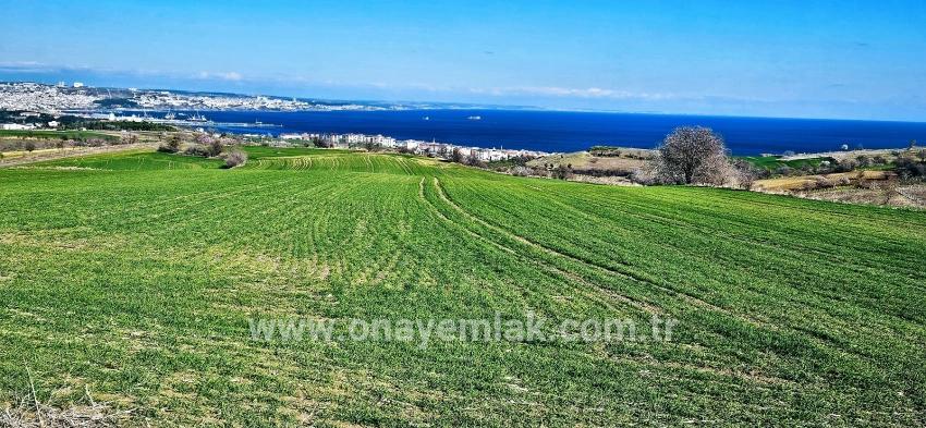 Süleymanpaşa Kumbağ Barbaros Mah. Satılık Arazi - Konut İmar Durumlu - 19.533 m²
