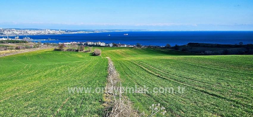 Süleymanpaşa Kumbağ Barbaros Mah. Satılık Arazi - Konut İmar Durumlu - 19.533 m²