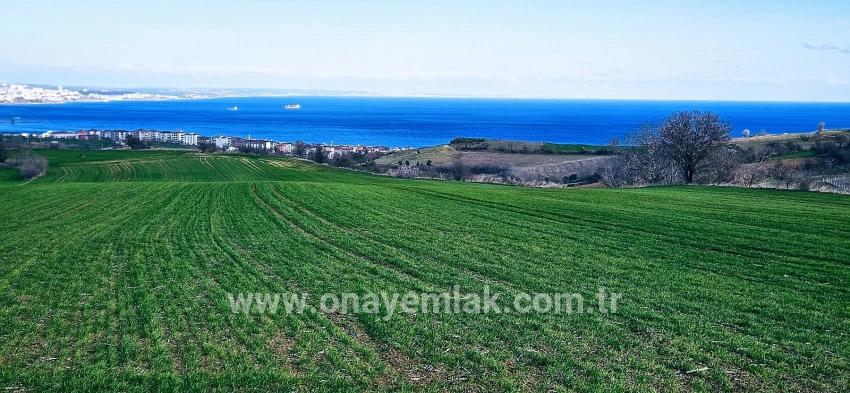 Süleymanpaşa Kumbağ Barbaros Mah. Satılık Arazi - Konut İmar Durumlu - 19.533 m²