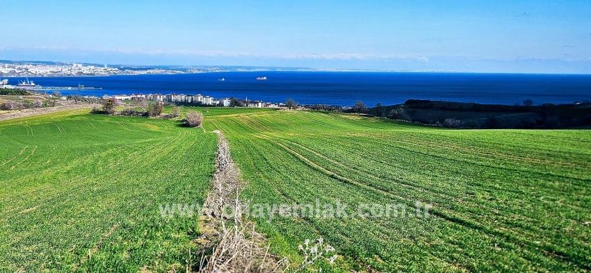 Süleymanpaşa Kumbağ Barbaros Mah. Satılık Arazi - Konut İmar Durumlu - 19.533 m²