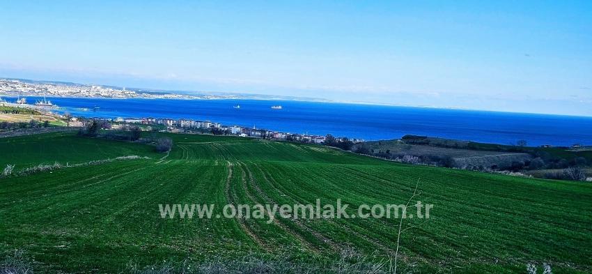 Süleymanpaşa Kumbağ Barbaros Mah. Satılık Arazi - Konut İmar Durumlu - 19.533 m²