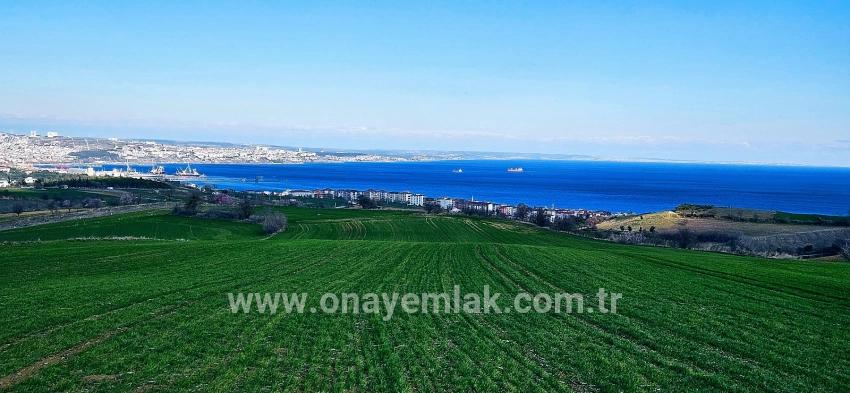 Süleymanpaşa Kumbağ Barbaros Mah. Satılık Arazi - Konut İmar Durumlu - 19.533 m²